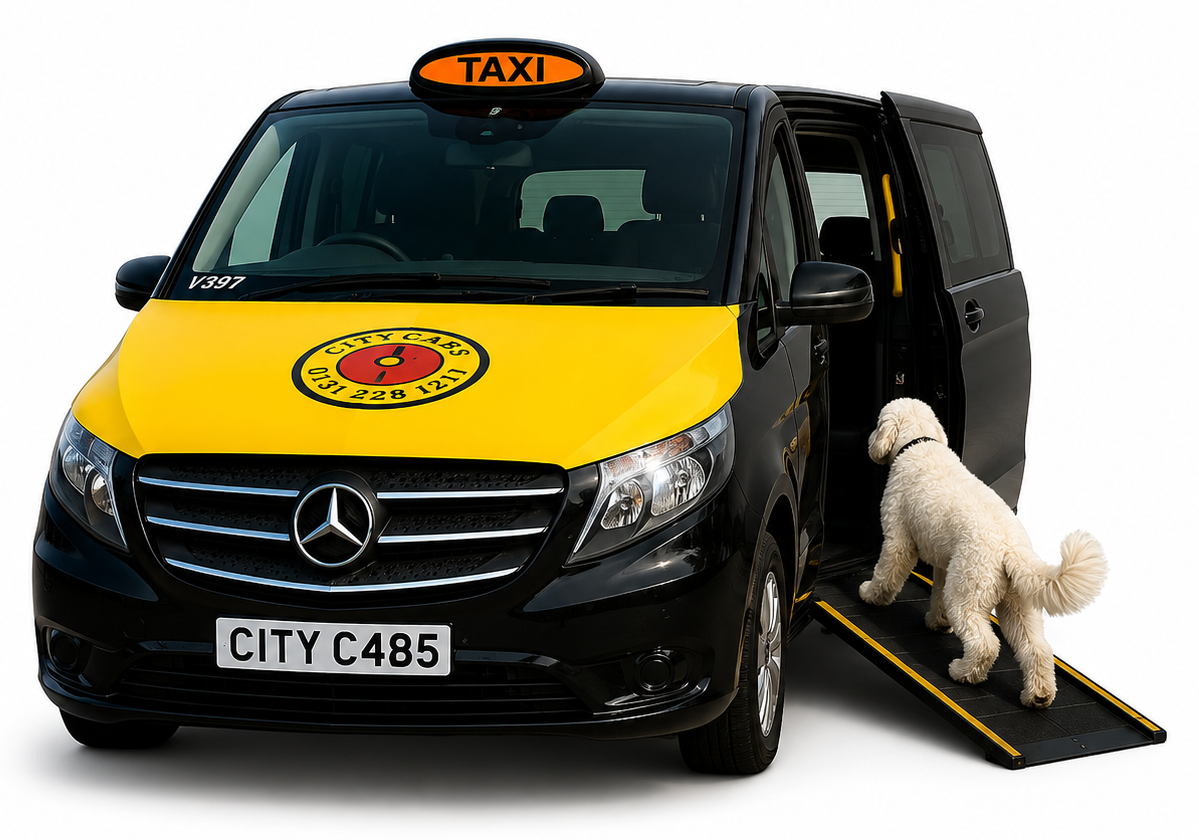 Pet Friendly